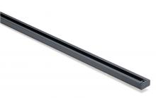  TR119 - 2' - Track- Black Finish