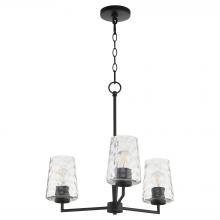  6204-3-59 - Goodwin 3 Light Chandelier, Matte Black