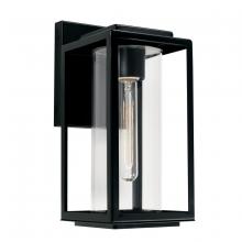  AA1018MB - 1-Light Glass Outdoor Wall Lantern in Matte Black