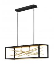  FR46406BLK - Medium LED Linear